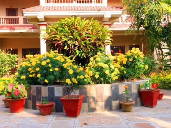 Hotel Royal Safari Читван Экстерьер фото