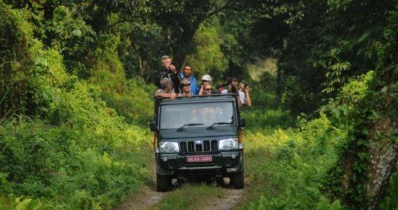 Hotel Royal Safari Читван Экстерьер фото